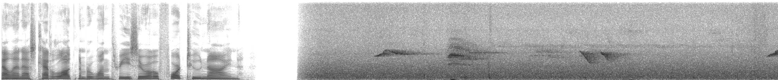 Karaca Karıncakuşu - ML130429