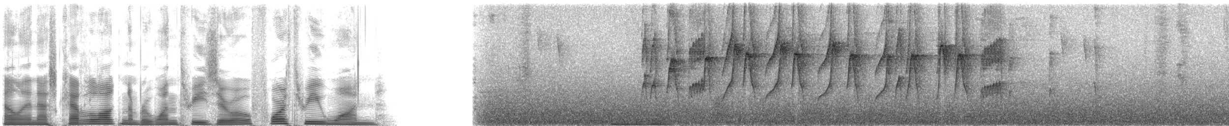 Turuncu Taçlı Sinek Tiranı - ML130431