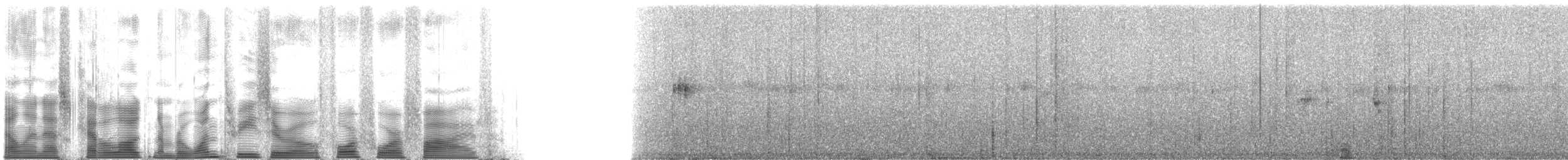 Swallow-tailed Nightjar - ML130445