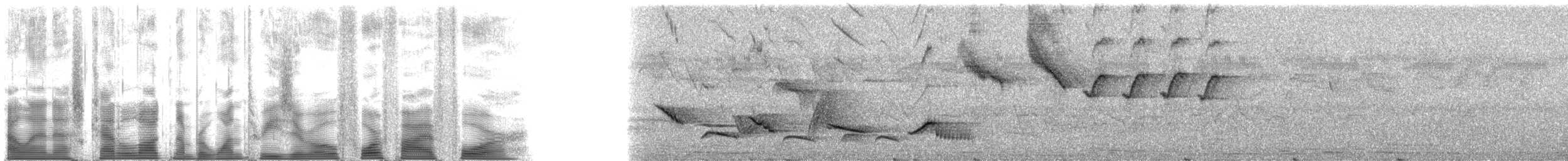 Kara Başlıklı Çalı Serçesi (nigriceps) - ML130454