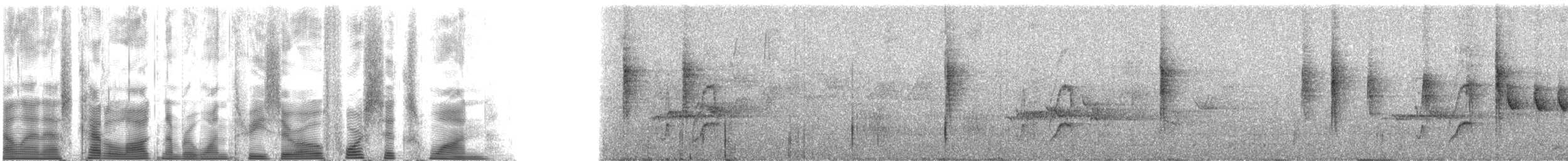 Paruline à cimier noir - ML130461