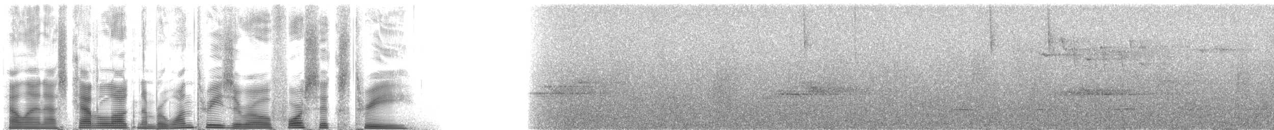 Gri Göğüslü Dağ Tukaneti - ML130463