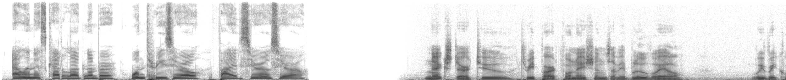 Blue Whale - ML130500