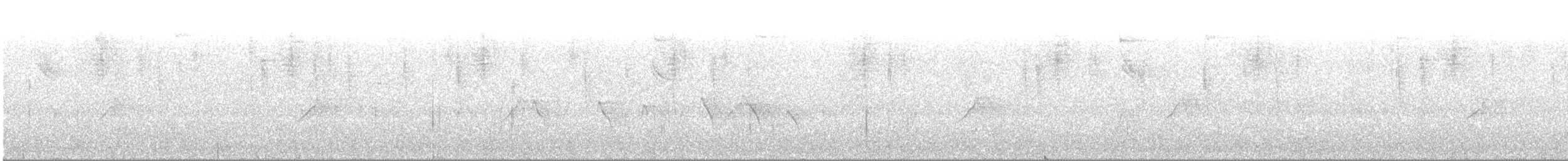 Strichelkopf-Ameisenfänger - ML130501961