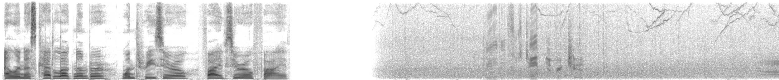 Side-striped Dolphins - ML130505