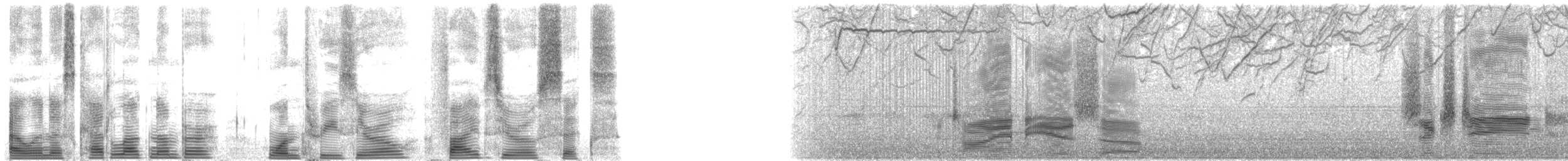 Side-striped Dolphins - ML130506