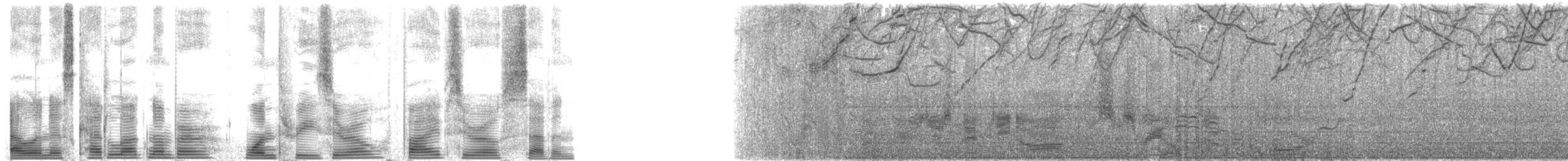 Side-striped Dolphins - ML130507