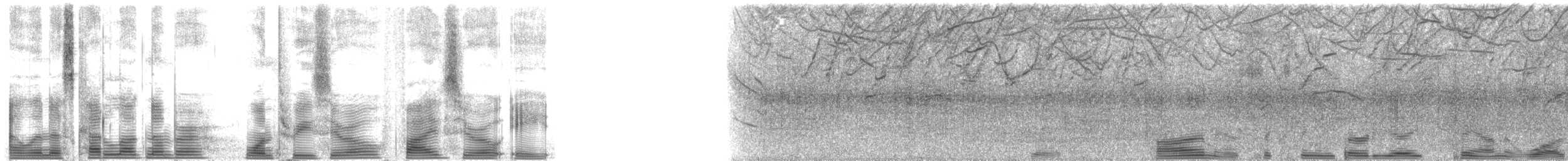 Side-striped Dolphins - ML130508