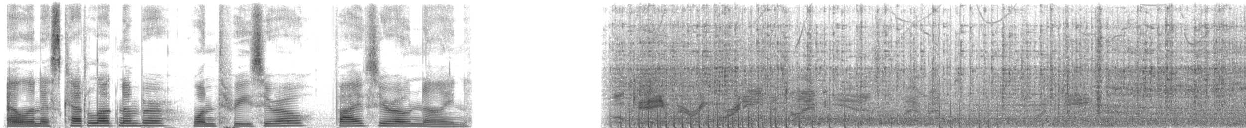 Side-striped Dolphins - ML130509