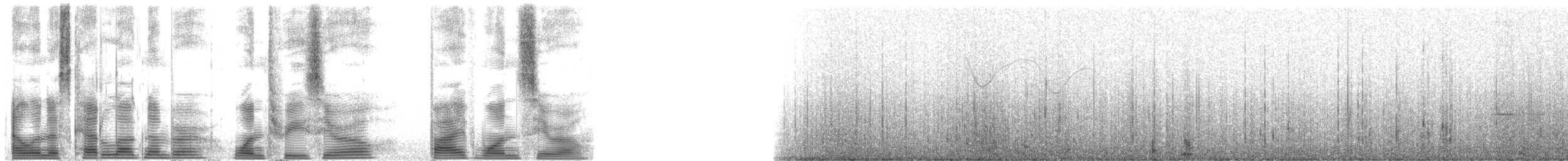 Oceanic Dolphins - ML130510