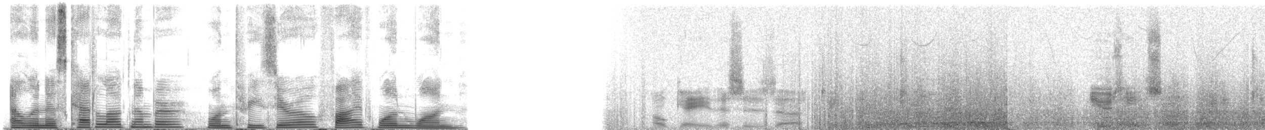 Oceanic Dolphins - ML130511