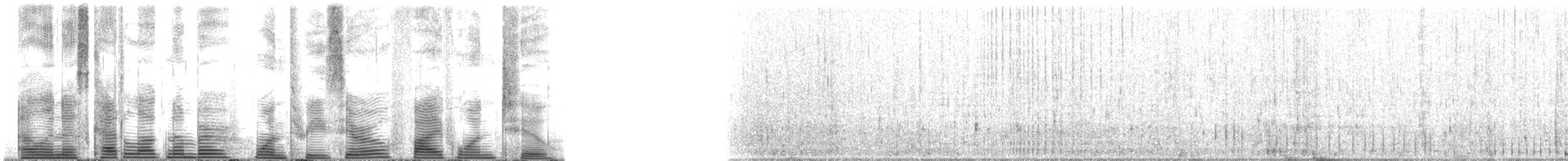 Spinner Dolphin - ML130512