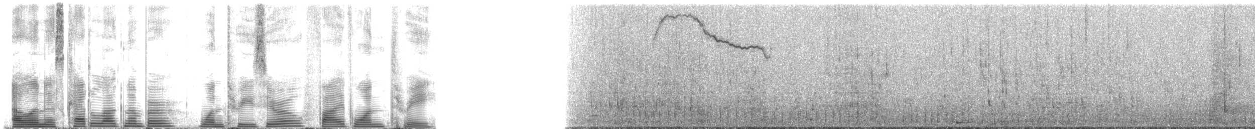 Spinner Dolphin - ML130513