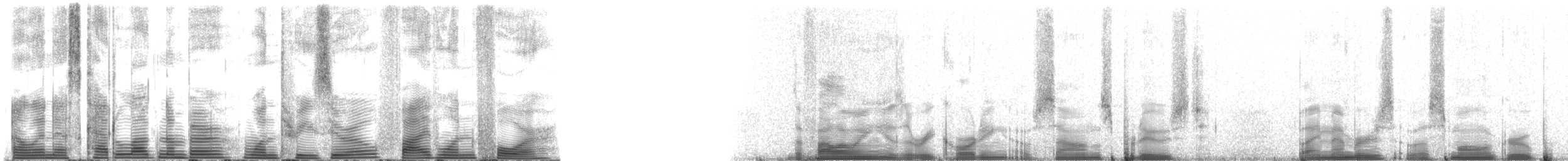 Bottlenose Dolphins - ML130514