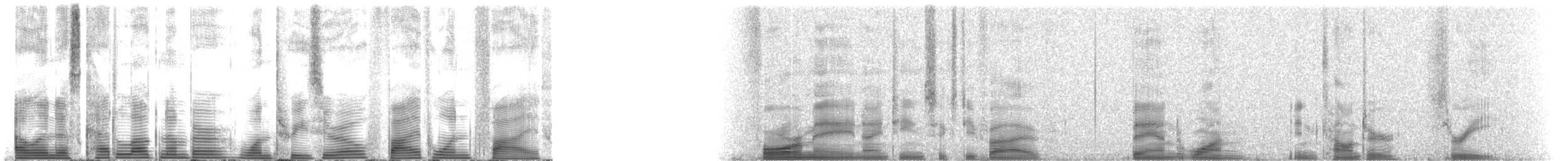 Pantropical Spotted Dolphin - ML130515