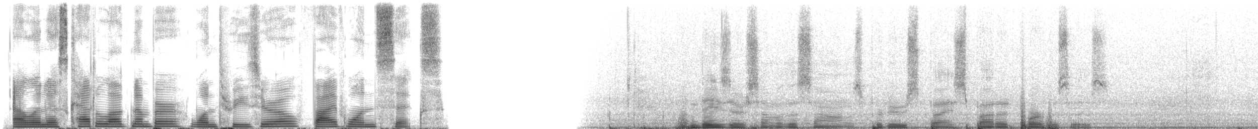 Pantropical Spotted Dolphin - ML130516