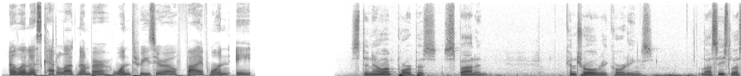 Pantropical Spotted Dolphin - ML130518