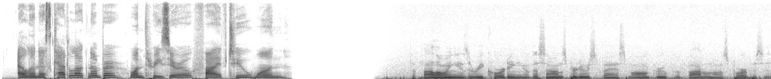 Common Bottlenose Dolphin - ML130521