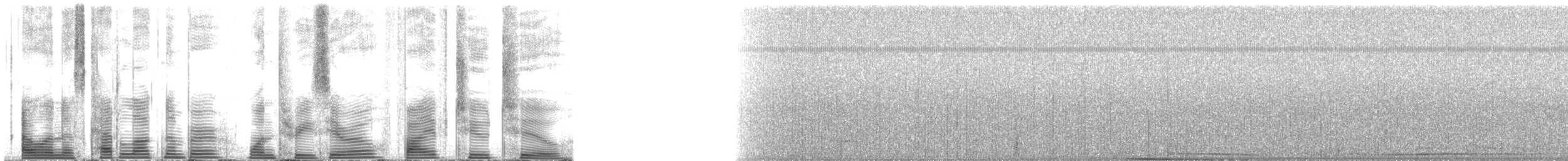 Bowhead Whale - ML130522