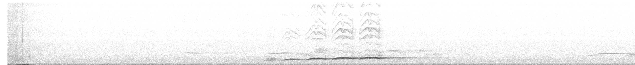 grånebbkoel (cyanocephalus/subcyanocephalus) - ML130555821