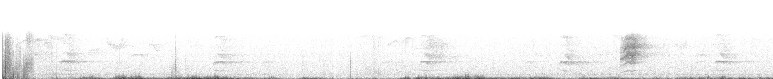 White-bellied Woodpecker - ML130648781