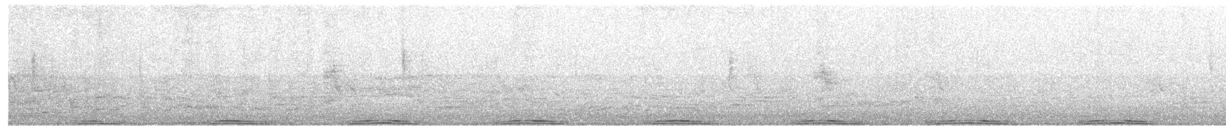 holub skalní (domácí) - ML130677561