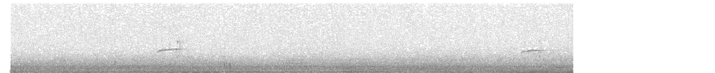 Northern Beardless-Tyrannulet - ML130686191