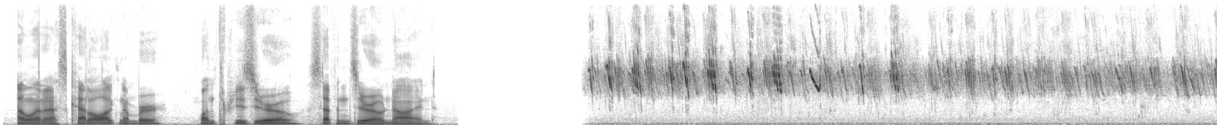 Violet-green Swallow - ML130709