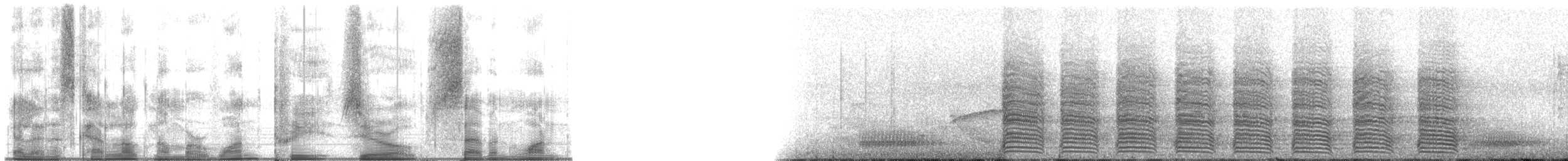 Chara de Beechey - ML13071