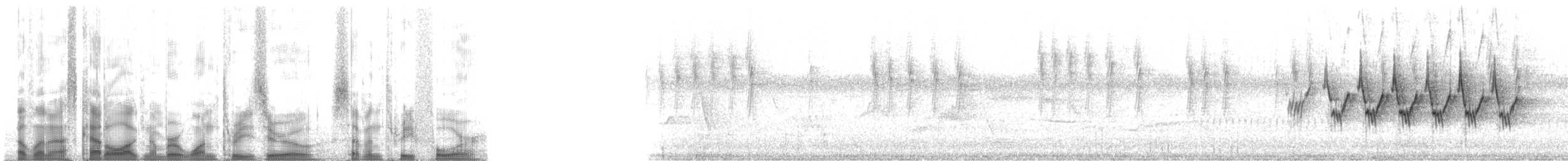 MacGillivray's Warbler - ML130734