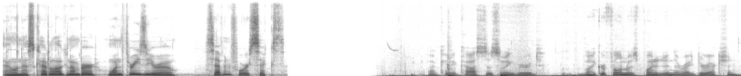 Costa's Hummingbird - ML130746