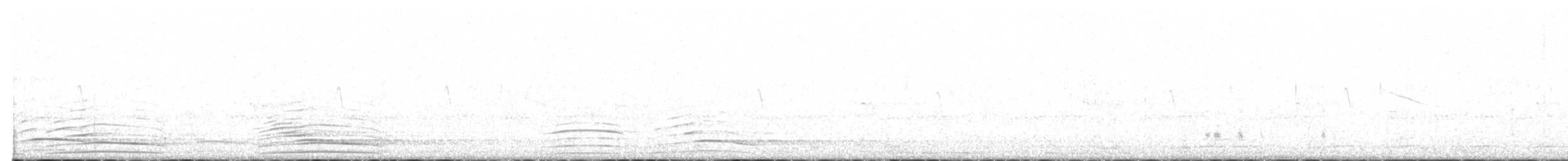 Pauma (etxekoa) - ML130769721