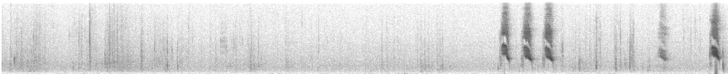 Boat-tailed Grackle - ML130778181