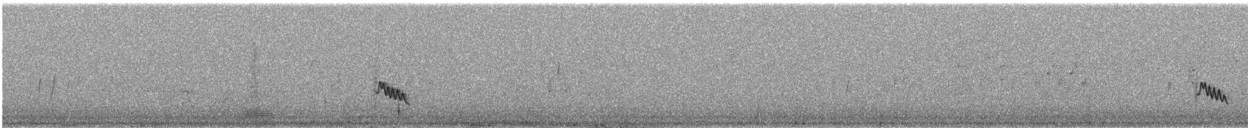 マミジロテリカッコウ - ML130813831
