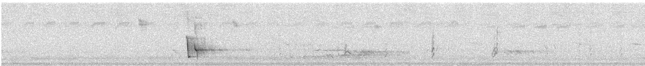 ミカヅキキバネミツスイ - ML130813971