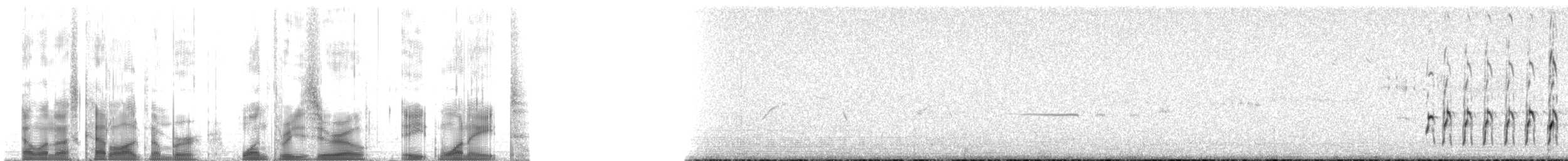 チュウシャクシギ（亜種 アメリカチュウシャクシギ） - ML130818