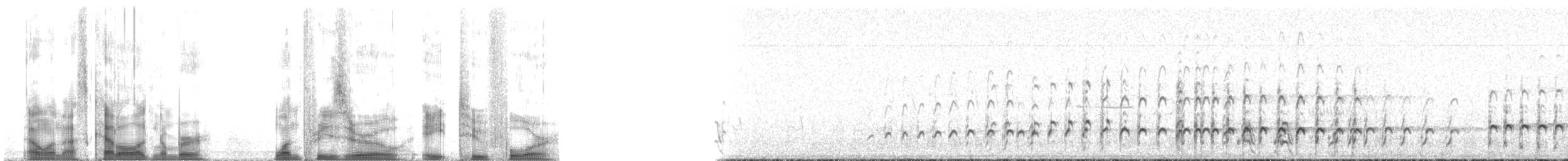 Whimbrel (Hudsonian) - ML130824