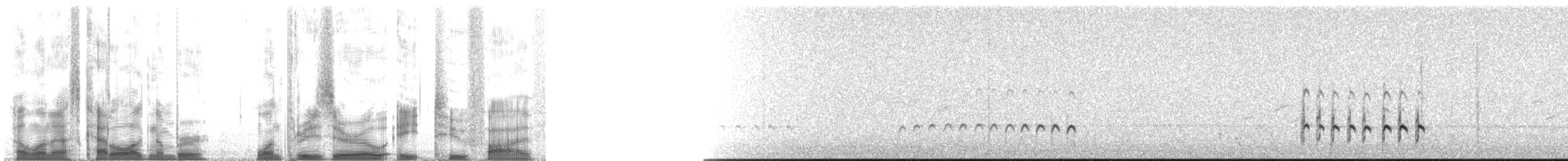 チュウシャクシギ（亜種 アメリカチュウシャクシギ） - ML130825