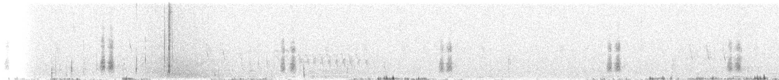 maghrebskjære - ML130827761