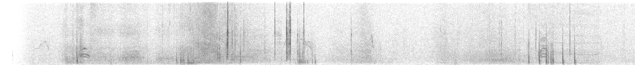 maghrebskjære - ML130827801