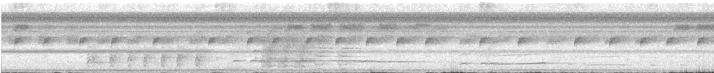 Лінивка-смугохвіст західна - ML130832561