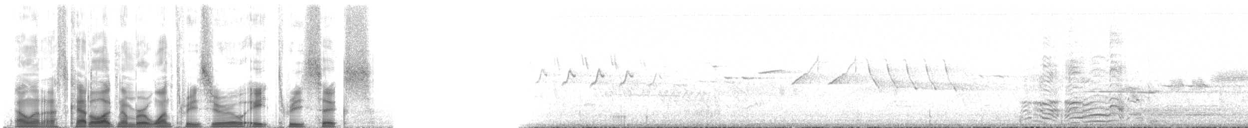 hoholka lední - ML130836