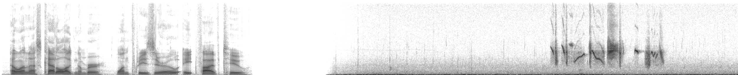 Steinschmätzer (oenanthe/libanotica) - ML130852