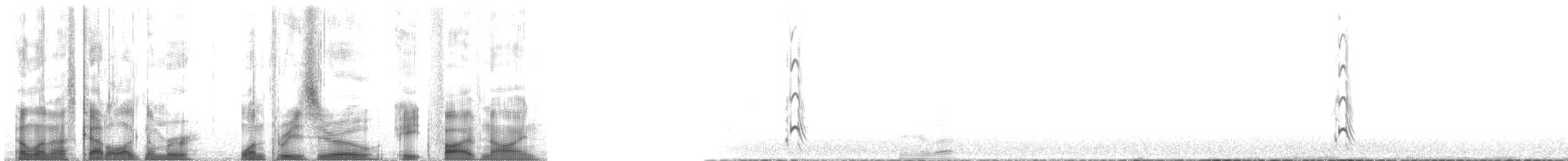Uzun Kuyruklu Korsanmartı - ML130859