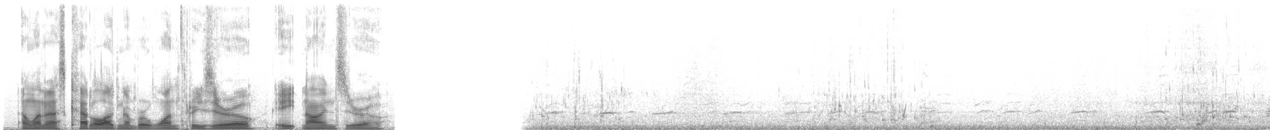 berneška malá (ssp. taverneri) - ML130890