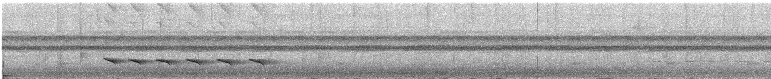 Schwarzscheitel-Ameisenvogel (rufifrons/subcristata) - ML130898581