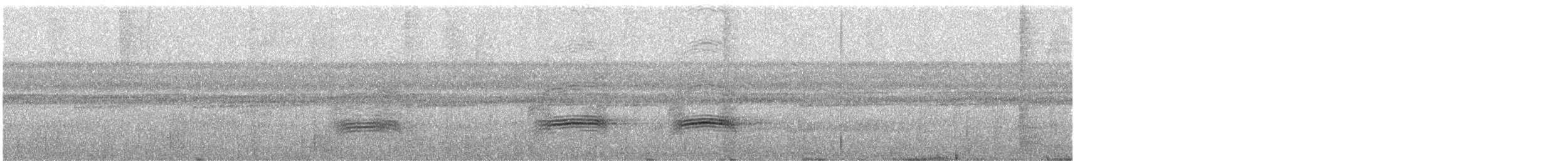 Пестрокрылый мухоед (examinatus) - ML130899081