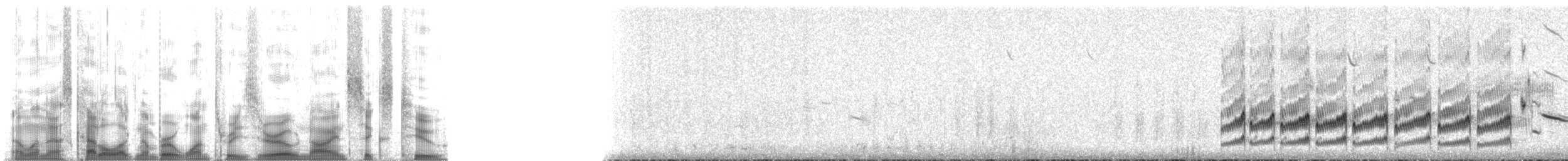 Kara Karınlı Kumkuşu - ML130962