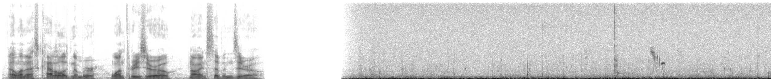 Сова біла - ML130970