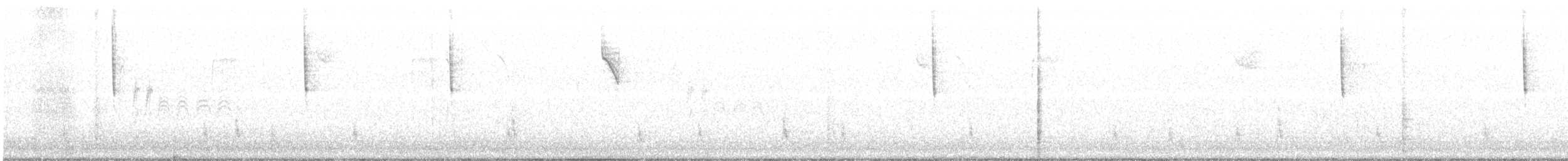 Дрізд-короткодзьоб плямистоволий - ML131013451